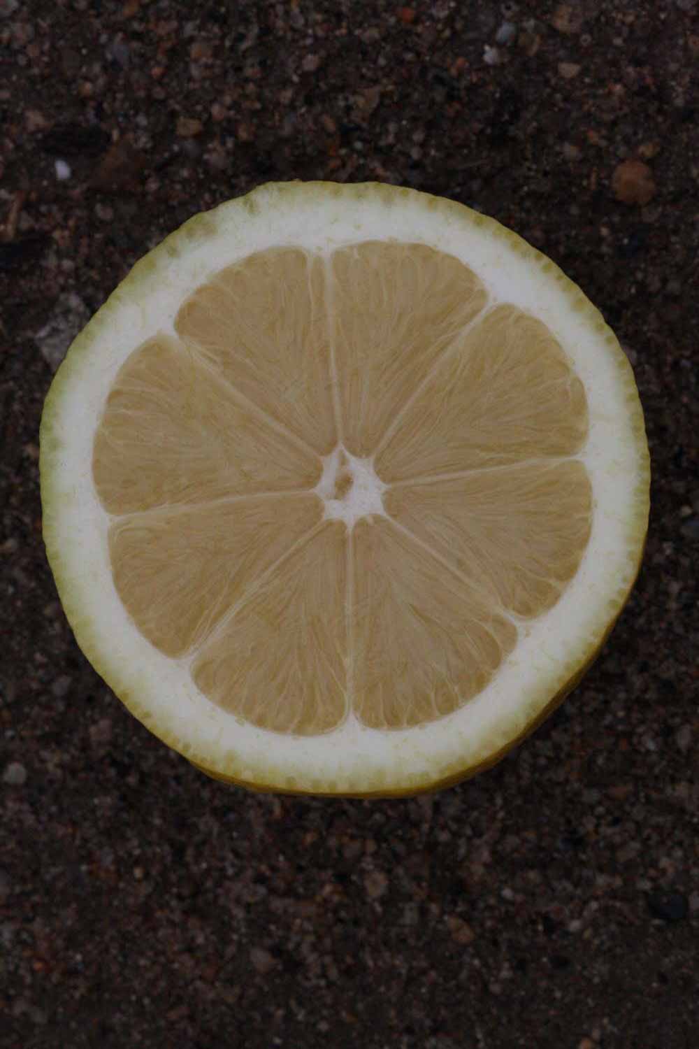              Fruit cross-section (Riverside, CA)       